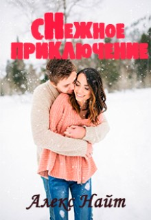 Снежное приключение