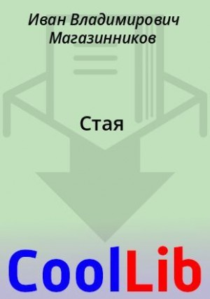 Стая