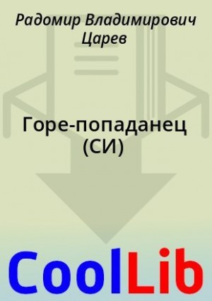 Горе-попаданец