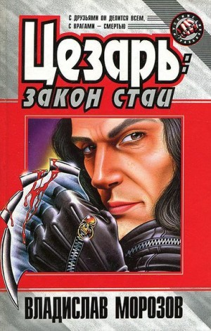 Закон стаи
