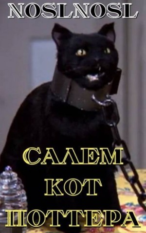 Салем, кот Поттера