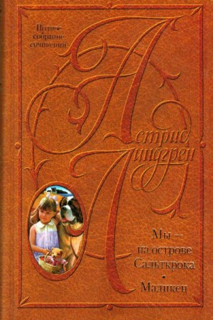 Мы на острове Сальткрока