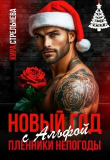 Новый год с Альфой. Пленники непогоды
